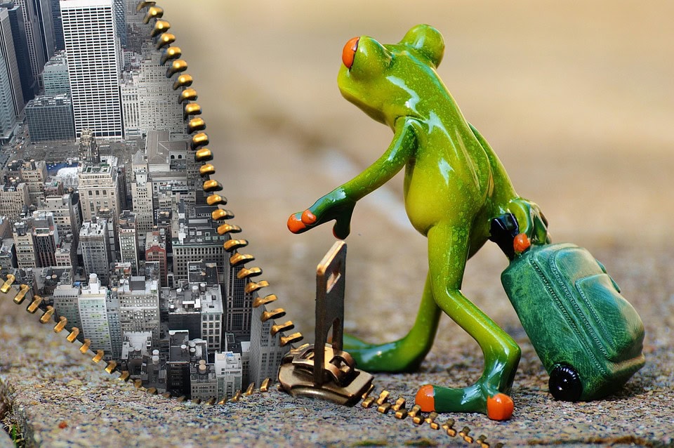 Una figura de rana verde con una maleta naranja abre una cremallera y revela un paisaje urbano detrás de ella, lo que sugiere que las claves para cambiar tu vida están a solo un paso de distancia.