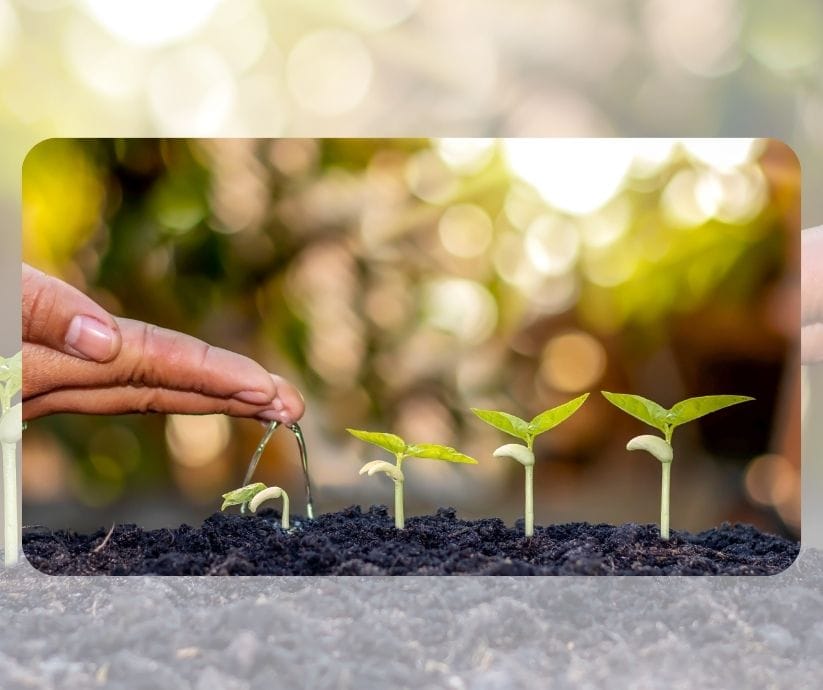 Las manos que nutren plántulas jóvenes en la tierra simbolizan la transformación personal, ya que el crecimiento comienza desde las raíces más pequeñas.